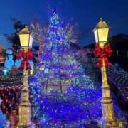 ヒメ日記 2025/11/28 14:01 投稿 ちなつ 佐賀人妻デリヘル 「デリ夫人」