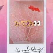 ヒメ日記 2026/02/12 16:04 投稿 ちなつ 佐賀人妻デリヘル 「デリ夫人」