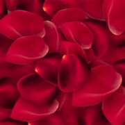 ヒメ日記 2026/02/16 18:10 投稿 ちなつ 佐賀人妻デリヘル 「デリ夫人」