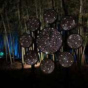 ヒメ日記 2026/02/24 22:43 投稿 ちなつ 佐賀人妻デリヘル 「デリ夫人」