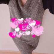 ヒメ日記 2026/02/28 20:33 投稿 ちなつ 佐賀人妻デリヘル 「デリ夫人」