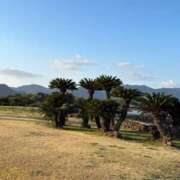 ヒメ日記 2026/03/13 20:14 投稿 ちなつ 佐賀人妻デリヘル 「デリ夫人」