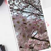 ヒメ日記 2026/03/21 17:09 投稿 ちなつ 佐賀人妻デリヘル 「デリ夫人」