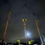 ヒメ日記 2026/03/27 04:11 投稿 ちなつ 佐賀人妻デリヘル 「デリ夫人」