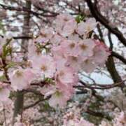 ヒメ日記 2026/03/28 18:21 投稿 ちなつ 佐賀人妻デリヘル 「デリ夫人」