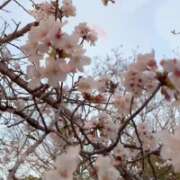 ヒメ日記 2026/03/28 20:52 投稿 ちなつ 佐賀人妻デリヘル 「デリ夫人」