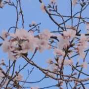 ヒメ日記 2026/03/29 08:05 投稿 ちなつ 佐賀人妻デリヘル 「デリ夫人」