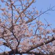 ヒメ日記 2026/04/05 13:05 投稿 ちなつ 佐賀人妻デリヘル 「デリ夫人」