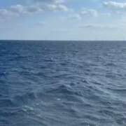 ヒメ日記 2026/04/11 15:06 投稿 ちなつ 佐賀人妻デリヘル 「デリ夫人」