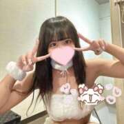 ヒメ日記 2025/10/17 08:06 投稿 めい プレミアム(福原)