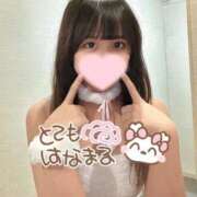 ヒメ日記 2025/10/23 17:01 投稿 めい プレミアム(福原)