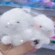 ヒメ日記 2025/10/29 19:31 投稿 めい プレミアム(福原)