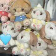 ヒメ日記 2025/11/12 19:11 投稿 めい プレミアム(福原)