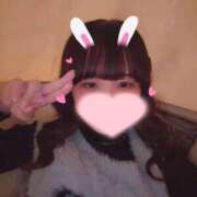 ヒメ日記 2025/11/19 07:21 投稿 めい プレミアム(福原)