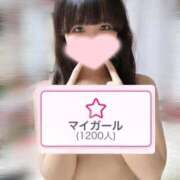 ヒメ日記 2025/11/23 19:06 投稿 めい プレミアム(福原)