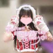 ヒメ日記 2025/12/07 13:01 投稿 めい プレミアム(福原)