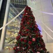 ヒメ日記 2025/12/27 18:02 投稿 めい プレミアム(福原)