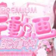 ヒメ日記 2026/02/23 09:21 投稿 めい プレミアム(福原)