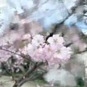 ヒメ日記 2026/04/02 17:01 投稿 めい プレミアム(福原)