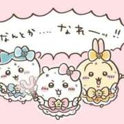 ヒメ日記 2026/09/25 09:01 投稿 めい プレミアム(福原)
