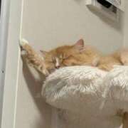 なこ おはよー🎶 JAPAN CLUB BUNNY LOUNGE