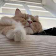 なこ 遅くなりました🙇‍♀️ JAPAN CLUB BUNNY LOUNGE