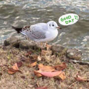 りあ 🚶‍♀️ Lesson.1 水戸校