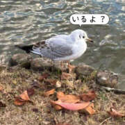 ヒメ日記 2026/03/08 16:19 投稿 りあ Lesson.1 水戸校