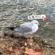 ヒメ日記 2026/06/28 13:30 投稿 りあ Lesson.1 水戸校