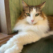 ヒメ日記 2025/10/17 07:28 投稿 すずらん ハピネス＆ドリーム福岡