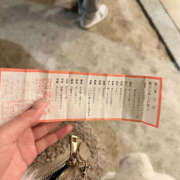 ヒメ日記 2026/01/04 07:48 投稿 すずらん ハピネス＆ドリーム福岡