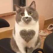 ヒメ日記 2025/07/22 21:25 投稿 松坂しょうこ セカンドパートナー