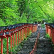 ヒメ日記 2025/08/15 11:15 投稿 松坂しょうこ セカンドパートナー