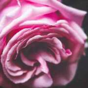 ヒメ日記 2025/09/01 22:30 投稿 松坂しょうこ セカンドパートナー