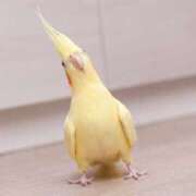 ヒメ日記 2025/11/14 23:15 投稿 松坂しょうこ セカンドパートナー