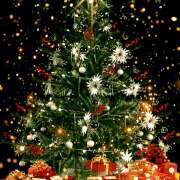 松坂しょうこ 明日 セカンドパートナー