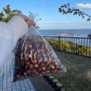 ヒメ日記 2025/10/27 10:51 投稿 りおん プレミアム(福原)