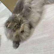 ヒメ日記 2025/09/04 05:15 投稿 田中 MadameRest(マダムレスト)