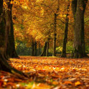 田中 おはようございます☀ MadameRest(マダムレスト)