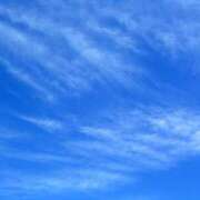 ヒメ日記 2026/01/13 10:19 投稿 田中 MadameRest(マダムレスト)