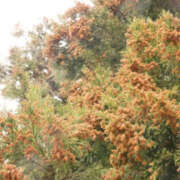 ヒメ日記 2026/02/23 05:54 投稿 田中 MadameRest(マダムレスト)