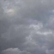 ヒメ日記 2026/03/13 07:34 投稿 田中 MadameRest(マダムレスト)