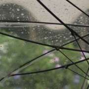 ヒメ日記 2026/03/26 05:24 投稿 田中 MadameRest(マダムレスト)