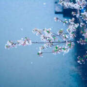 ヒメ日記 2026/03/26 07:35 投稿 田中 MadameRest(マダムレスト)