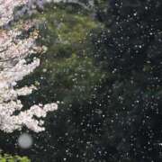 ヒメ日記 2026/04/04 07:20 投稿 田中 MadameRest(マダムレスト)