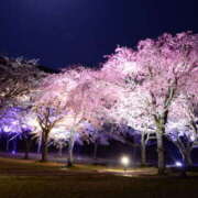 ヒメ日記 2026/04/05 19:44 投稿 田中 MadameRest(マダムレスト)