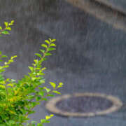 ヒメ日記 2026/04/10 04:54 投稿 田中 MadameRest(マダムレスト)