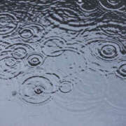 ヒメ日記 2026/04/10 08:27 投稿 田中 MadameRest(マダムレスト)