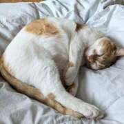 ヒメ日記 2026/04/27 04:30 投稿 田中 MadameRest(マダムレスト)