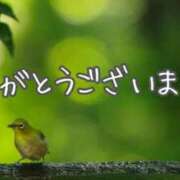 ヒメ日記 2026/05/23 19:28 投稿 田中 MadameRest(マダムレスト)